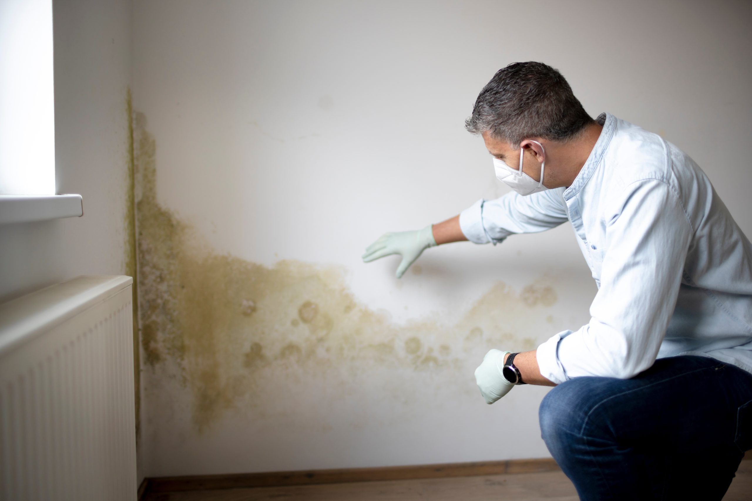 The most common cause of CIRS is mold from water damage