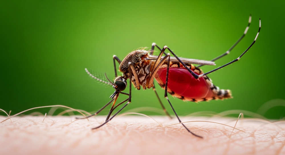 Vector-borne diseases are spread through insects such as mosquitoes and ticks