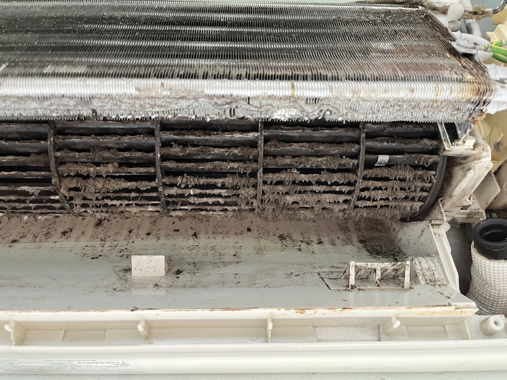 Mold spores in vents can circulate through indoor air and contribute to inflammation and respiratory symptoms.
